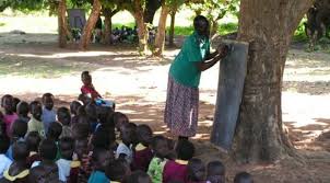 Succès du programme "École sous l'arbre" dans l'Extrême-Nord